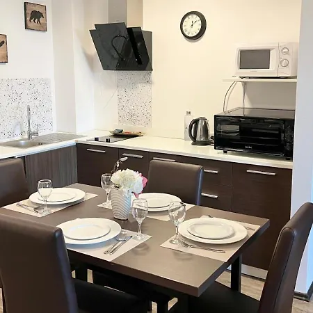 C25 Silver Mountain Apartment *